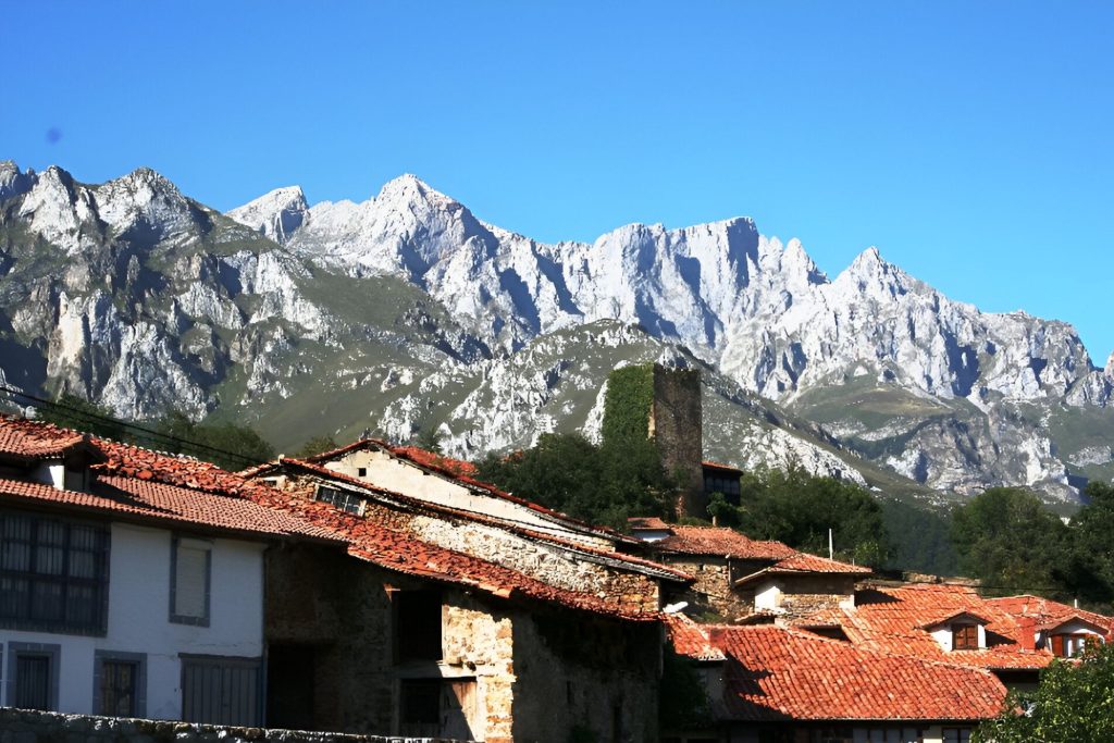 MOGROVEJO