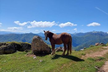 actividades (26)