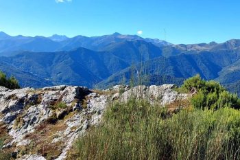 actividades (50)